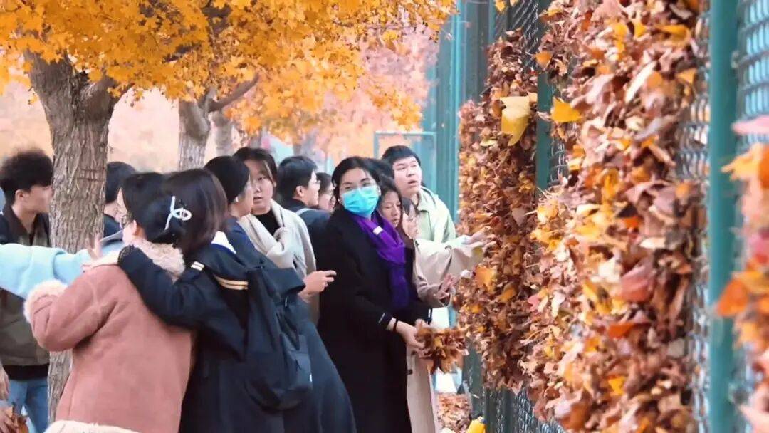 皇冠信用网怎么申请
_河南一医学院学生用落叶在篮球场铁网上插出心肝肺胃、注射器等图案皇冠信用网怎么申请
,学校:秋日限定浪漫