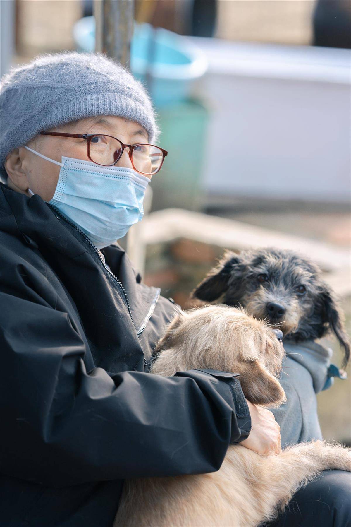 皇冠信用网
_合肥卖房救助流浪狗的魏阿姨离世皇冠信用网
,病中仍然惦记着基地的600只流浪狗,工人:不敢相信世上还有这样执着的人